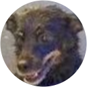 mario sparvoli mario sparvoli